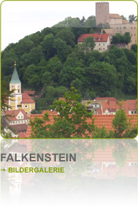 Falkenstein und Umgebung